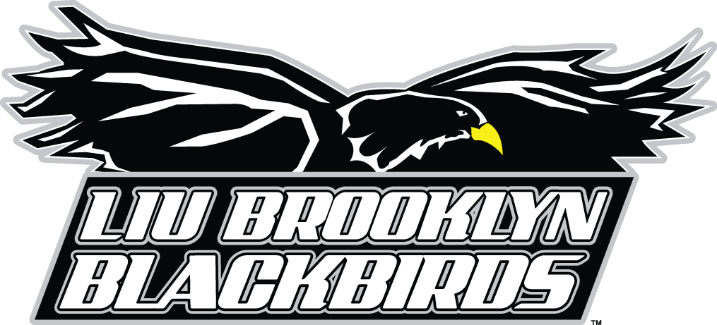 LIU-Brooklyn Blackbirds logos iron-ons